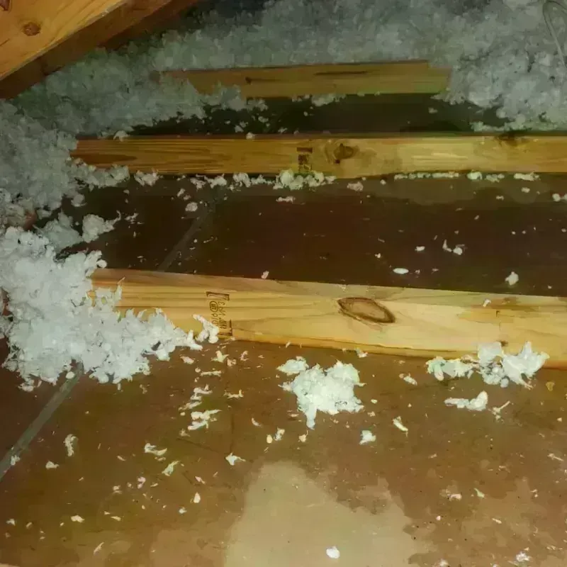 Attic Water Damage in Stanton County, KS